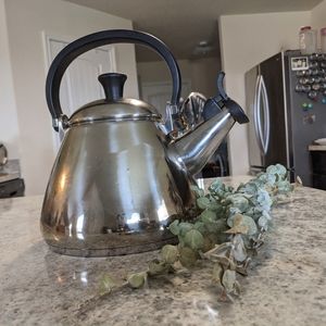 Le Creuset Stainless Steel Kone Kettle